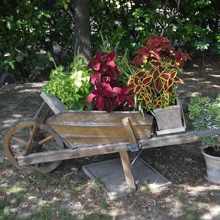 Gite Sous Les Chenes : Pour Un Sejour Ressourcant Rochefort-du-Gard Extérieur photo